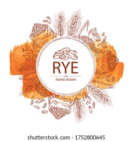 Watercolor background with rye: ears, bag of grain and rye grain. Vector hand drawn illustration
