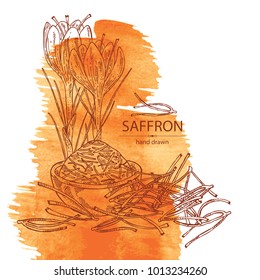 Watercolor background with saffron: flower and saffron stamens. Vector hand drawn illustration.