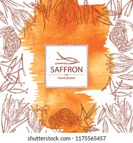 Watercolor background with saffron: flower and saffron stamens. Vector hand drawn illustration.