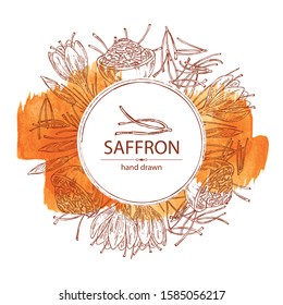 Watercolor background with saffron: flower and saffron stamens. Vector hand drawn illustration.