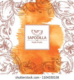 Watercolor background with sapodilla: fruit, sapodilla slice and leaves. Vector hand drawn illustration.