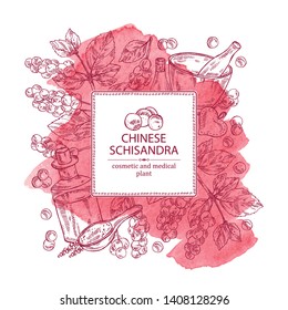 Watercolor background with schisandra chinensisi: schisandra branch with leaves and berries, soap and bath salt . Cosmetic, perfumery and medical plant. Vector hand drawn illustration