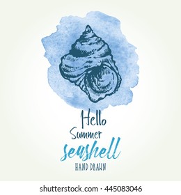 Watercolor background with with seashell. hand drawn