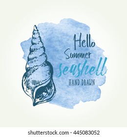 Watercolor background with with seashell. hand drawn
