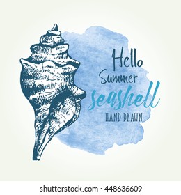 Watercolor background with with seashell. hand drawn