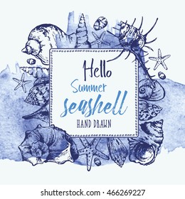 Watercolor background with seashell. hand drawn