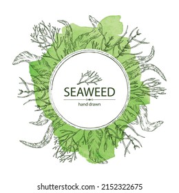 Watercolor background with seaweed, algae: aonori, monostroma, sargassum fusiform, hijiki seaweed, kombu, laminaria japonica, ahnfeltia plicata. Green, brown and red algae. Edible seaweed. Vector hand