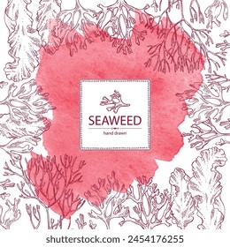 Watercolor background with seaweed, algae: irish moss, rhodymenia palmata, ahnfeltia plicata, porphyra. Brown and red algae. Edible seaweed. Vector hand drawn illustration