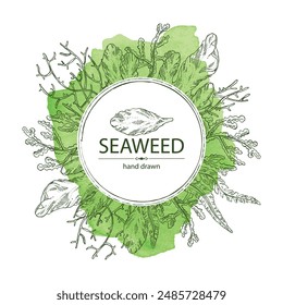 Watercolor background with seaweed, algae: laminaria, ulva seaweed, cladosiphon okamuranus, phyllophora nervosa. Green, brown and red algae. Edible seaweed. Vector hand drawn illustration