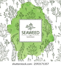 Watercolor background with seaweed, algae: undaria pinnate, wakame, kombu, rhodymenia palmata, irish moss. Green, brown and red algae. Edible seaweed. Vector hand drawn illustration