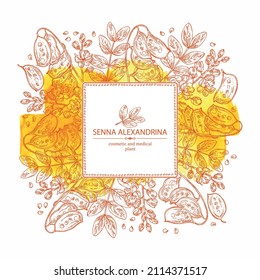 Watercolor background with senna alexandrina: leaves, senna alexandrina flowers and pod. Cosmetic, perfumery and medical plant. Vector hand drawn illustration.