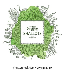 Watercolor background with shallot: rings, full onion shallots and onion slices. Vector hand drawn illustration. 