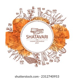 Watercolor background with shatavari: shatavari root, plant and leaves. Protasparagus racemosus.  Oil, soap and bath salt . Cosmetics and medical plant. Vector hand drawn illustration