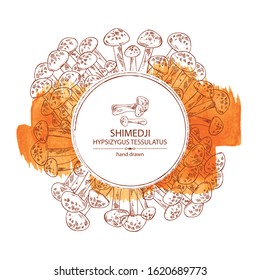 Watercolor background with shimedji: hypsizygus tessulatus mushroom . Mushroom. Vector hand drawn illustration