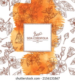 Watercolor background with sida cordifolia: sida cordifolia plant, bala leaves and sida cordifolia flowers. Bala. Cosmetic, perfumery and medical plant. Vector hand drawn illustration.