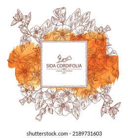 Watercolor background with sida cordifolia: sida cordifolia plant, bala leaves and sida cordifolia flowers. Bala. Cosmetic, perfumery and medical plant. Vector hand drawn illustration.