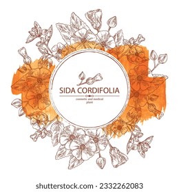 Watercolor background with sida cordifolia: sida cordifolia plant, bala leaves and sida cordifolia flowers. Bala. Cosmetic, perfumery and medical plant. Vector hand drawn illustration.