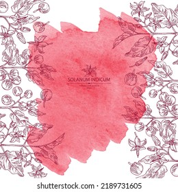 Watercolor background with solanum indicum: brihati plant, leaves, solanum indicum flowers and solanum indicum berries. Brihati. Cosmetic, perfumery and medical plant. Vector hand drawn illustration.