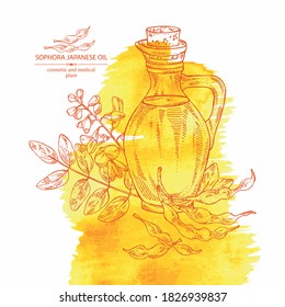 Watercolor background with sophora japonica and bottle o fsophora japonica oil. Vector hand drawn illustration