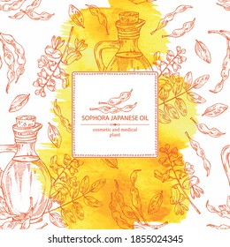 Watercolor background with sophora japonica and bottle o fsophora japonica oil. Vector hand drawn illustration