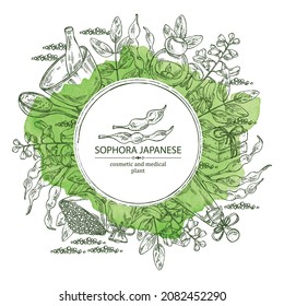 Watercolor background with sophora japonica: branch, flower and pod of sophora japonica. Oil, soap and bath salt . Cosmetics and medical plant. Vector hand drawn illustration