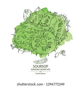 Watercolor background with soursop: fruit and soursop slice. Annona muricata. Vector hand drawn illustration.