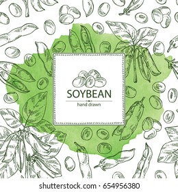 Watercolor background with soybean: bean, soy pod, plant and leaves. Vector hand drawn illustration.