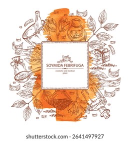 Watercolor background with soymida febrifuga: plant, fruits, leaves and soymida febrifuga bark. Swietenia febrifuga. Oil, soap and bath salt. Cosmetics and medical plant. Vector