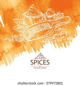 Watercolor background with spice and herb , hand drawn