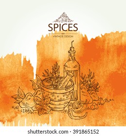 Watercolor background with spice and herb , hand drawn