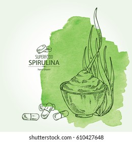 Watercolor background with spirulina: spirulina algae, pills and powder. Superfood. Hand drawn