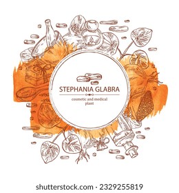Watercolor background with stephania glabra: stephanie smooth plant, stephanie smooth tuber, bath salt, soap and beauty products. Cosmetic, perfumery and medical plant. Vector hand drawn illust