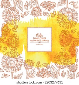 Watercolor background with sunflower: helianthus flowers, plant, leaves and sunflower seeds. Helianthus. Vector hand drawn illustration. 