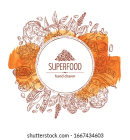 Watercolor background with super food: reishi mushroom, morinda, noni fruit, camu camu, carob pods and chia. Super food. Vector hand drawn illustration.