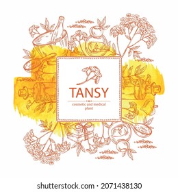Watercolor background with tansy: plant, leaves, tansy flowers and bath salt, soap and beauty products.  Cosmetic, perfumery and medical plant. Vector hand drawn illustration.