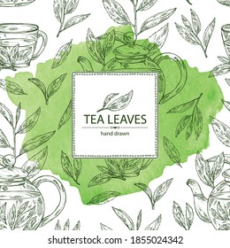 Watercolor background with tea: branch and tea leaves, a cup of tea and teapot. Green tea. Vector hand drawn illustration. 