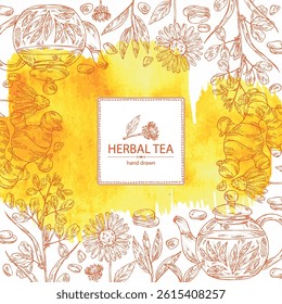 Watercolor background with tea and hearbs, herbal tea: tea leaves, ginger root, echinacea and fenugreek. Vector hand drawn illustration.