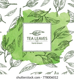 Watercolor background with tea leaves. Green tea. Vector hand drawn illustration. 