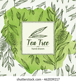 Tea Logo Vector Background Painted Leaves Stock Vector (Royalty Free ...