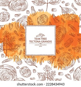 Watercolor background with teak tree: tectona grandis plant, leaves and piece of wood teak tree. Tectona grandis. Cosmetic, perfumery and medical plant. Vector hand drawn illustration