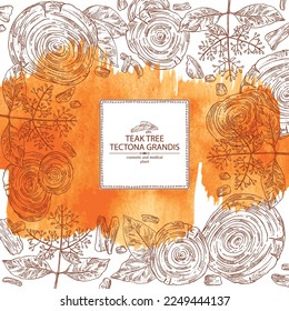 Fondo acuarela con árbol de teca: planta de tectona grandis, hojas y trozo de teca de madera. Tectona grandis. Cosmética, perfumería y planta médica. Ilustración dibujada a mano por el vector
