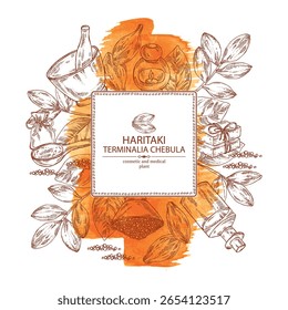Fundo de aquarela com terminalia chebula: planta de terminalia chebula, folhas e frutos haritaki. Haritaki. Óleo, sabão e sal de banho . Cosméticos e planta médica. Ilustração desenhada à mão vetorial