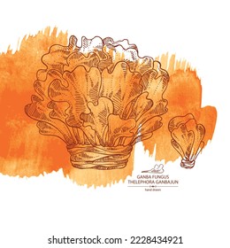 Watercolor background with thelephora ganbajun: piece of ganba fungus mushroom, thelephora ganbajun mushrooms. Vector hand drawn mushroom illustrations