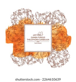 Watercolor background with thelephora ganbajun: piece of ganba fungus mushroom, thelephora ganbajun mushrooms. Vector hand drawn mushroom illustrations