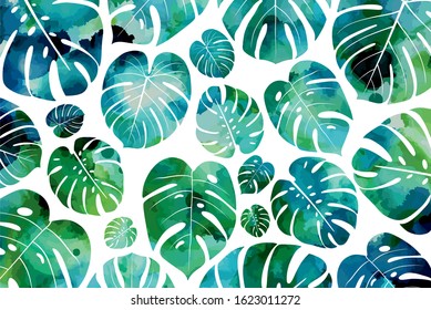 Watercolor background with tropical palm leaves, monstera, passion fruit. Beautiful hand-drawn exotic plants. Floral background. Monstera isolated on a white background. Monstera leaves, jungle