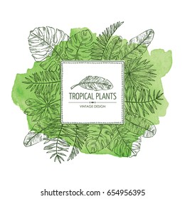 Watercolor background with tropical plant and  tropical leaves. Vector hand drawn illustration