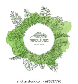 Watercolor background with tropical plant and  tropical leaves. Vector set hand drawn illustration.