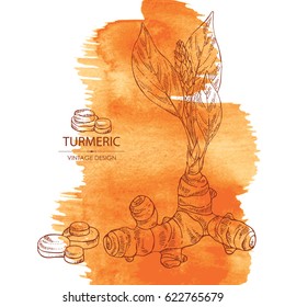 Watercolor background with turmeric: turmeric root and leaves. Hand drawn.