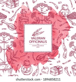 Watercolor background with valerian officinalis: valeriana flowers and root and oil, soap and bath salt . Cosmetics and medical plant. Vector hand drawn illustration