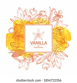 Watercolor background with vanilla: flower and vanilla pod. Oil, soap and bath salt . Cosmetics and medical plant. Vector hand drawn illustration